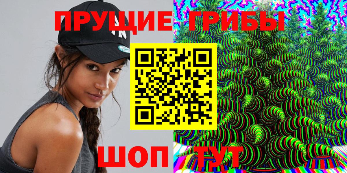 магазин  наркотиков  Псилоцибиновые грибы мухоморы  Вход с VPN  Псилоцибиновые грибы мухоморы  Гусь-Хрустальный 