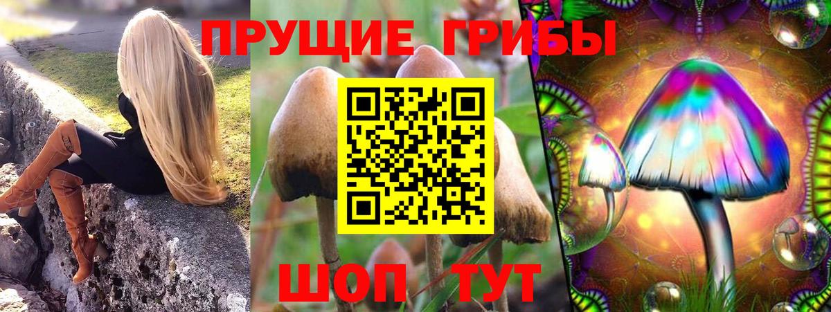 Галлюциногенные грибы Magic Shrooms Гусь-Хрустальный